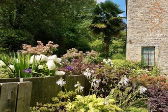  maison locoal-mendon 56550