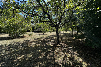  maison loubes-bernac 47120