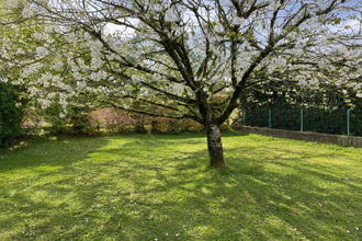  maison lucon 85400