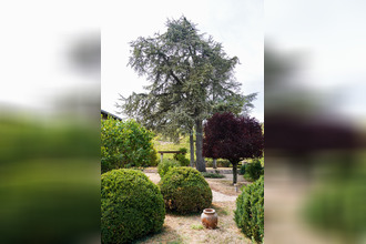  maison macon 71000