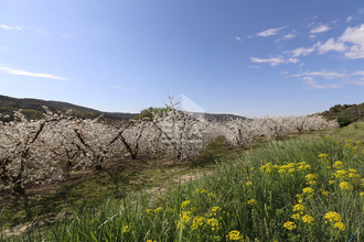  maison malaucene 84340