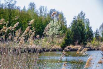  maison malbuisson 25160