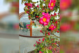  maison malestroit 56140