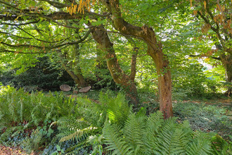  maison marcq-en-baroeul 59700