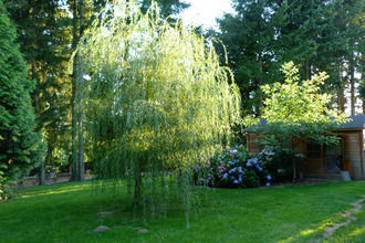  maison marly-sur-arroux 71420