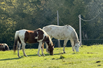  maison masseube 32140