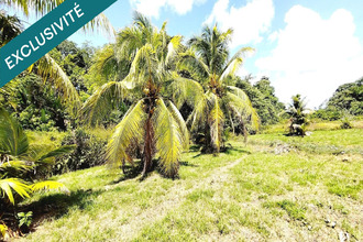  maison matoury 97351