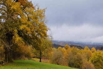  maison mauriac 15200