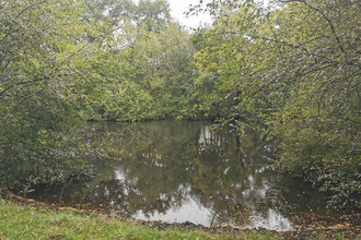  maison mennetou-sur-cher 41320