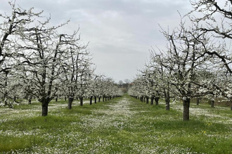  maison mirabel 82440