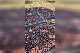  maison mirabel 82440