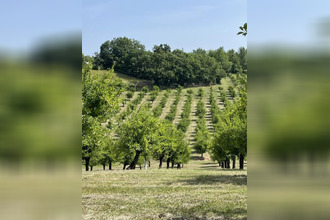  maison mirabel 82440