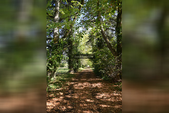  maison miramt-de-guyenne 47800