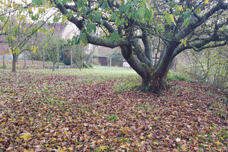  maison miraumt 80300