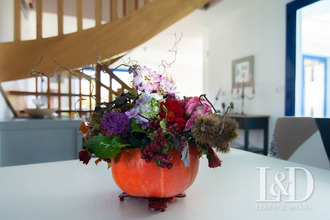  maison moelan-sur-mer 29350