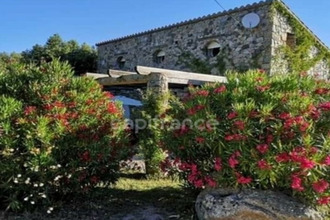  maison moltifao 20218