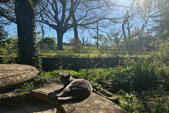  maison monbazillac 24240