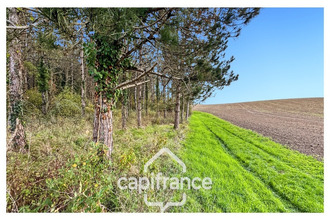  maison monflanquin 47150