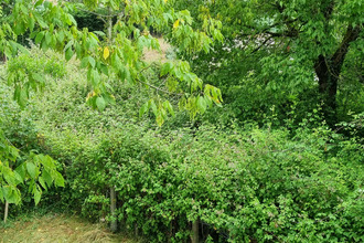  maison morcenx 40110