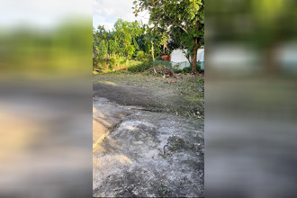  maison morne-a-l-eau 97111