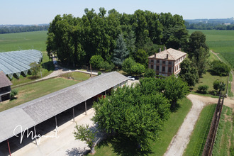  maison mtauban 82000