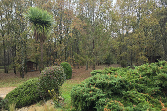  maison mtauban 82000