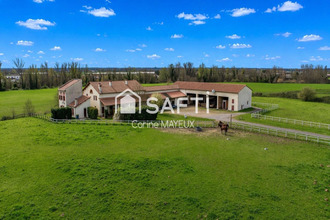  maison mtauban 82000