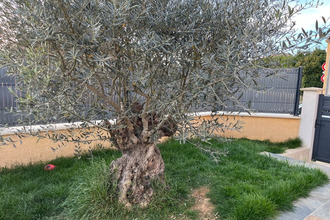  maison mtelimar 26200