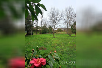  maison mtesquieu 82200