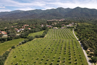  maison mtesquieu-des-alberes 66740