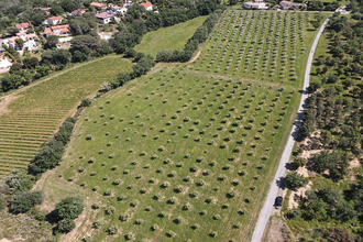  maison mtesquieu-des-alberes 66740