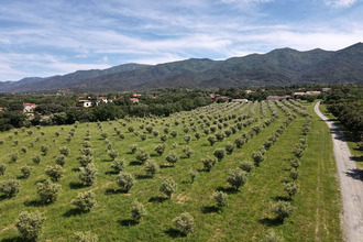  maison mtesquieu-des-alberes 66740