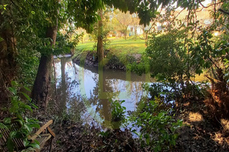  maison mtguyon 17270