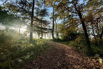  maison mtignac-de-lauzun 47800