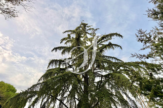  maison mtpellier 34000