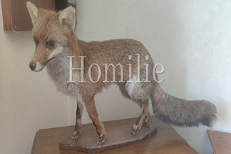  maison mtrichard 41400