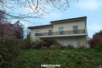  maison mulhouse 68100