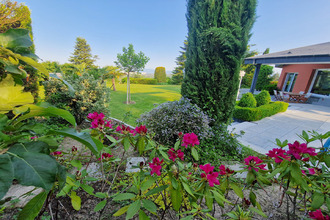  maison mulhouse 68100