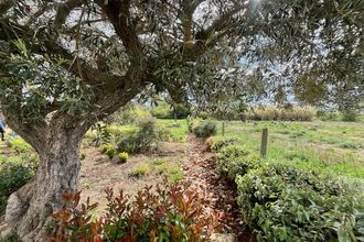  maison narbonne 11100