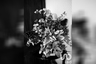  maison nemours 77140