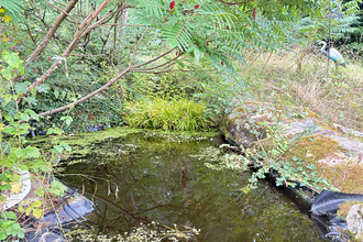  maison nemours 77140