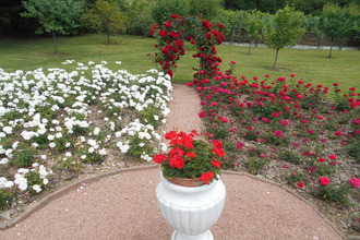  maison nontron 24300