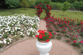  maison nontron 24300