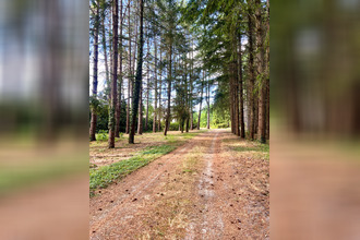  maison nouan-le-fuzelier 41600