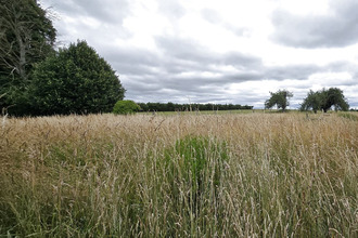  maison noyelles-sur-mer 80860