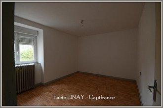  maison oisseau 53300