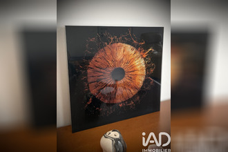  maison orleans 45000