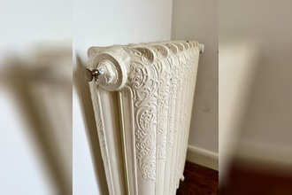  maison orleans 45100