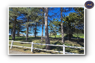  maison ouistreham 14150