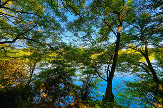  maison penne-d-agenais 47140